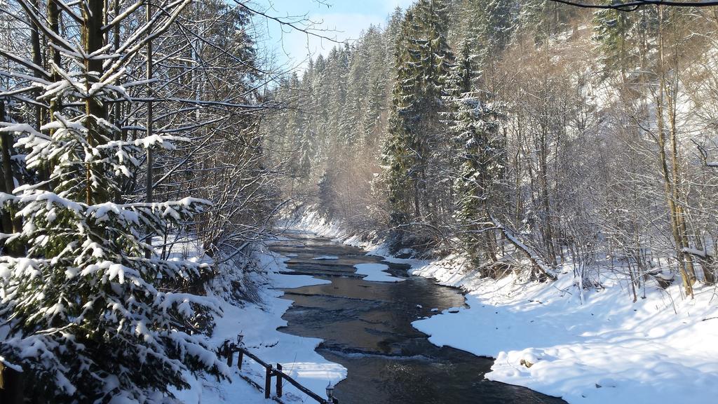 Homestay Srebrny Potok Zakopane Ngoại thất bức ảnh