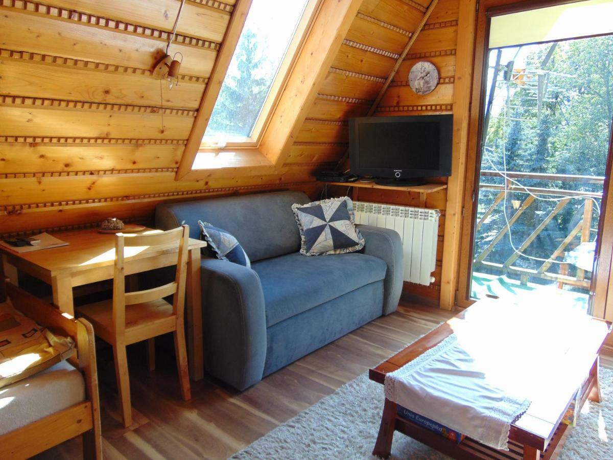 Homestay Srebrny Potok Zakopane Ngoại thất bức ảnh